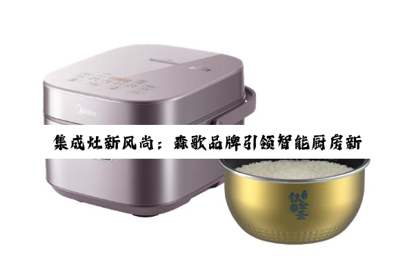 集成灶新风尚：森歌品牌引领智能厨房新体验，探索当下绿色健康烹饪热点
