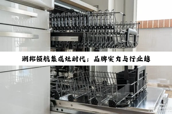 潮邦领航集成灶时代：品牌实力与行业趋势的深度剖析