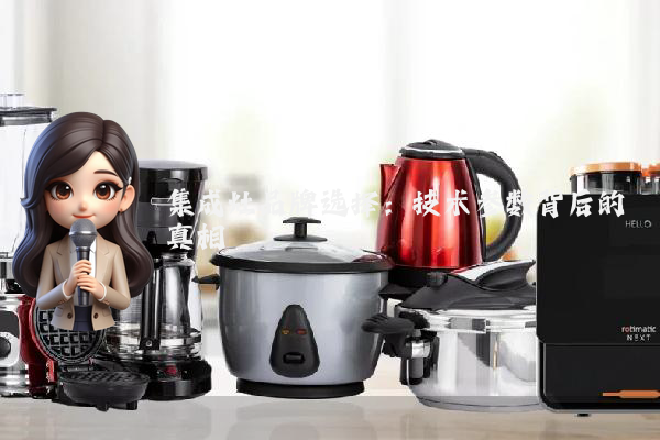 集成灶品牌选择：技术参数背后的真相